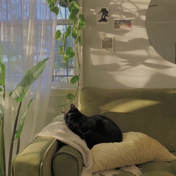 Meet your Posher, Shannen - Picture 1 of 1